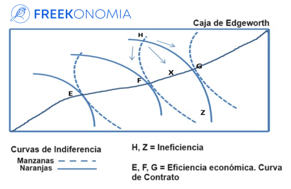 caja de edgeworth
óptimo de pareto
eficiencia de pareto
curva de contrato
curvas de indiferencia